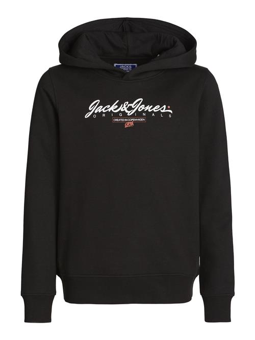 Jack & Jones Junior Sweatshirt  orange / sort / hvid