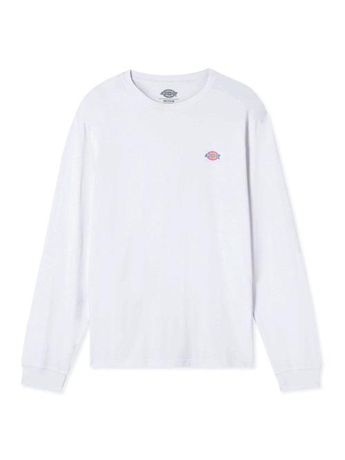 DICKIES Bluser & t-shirts 'Mapleton'  hvid