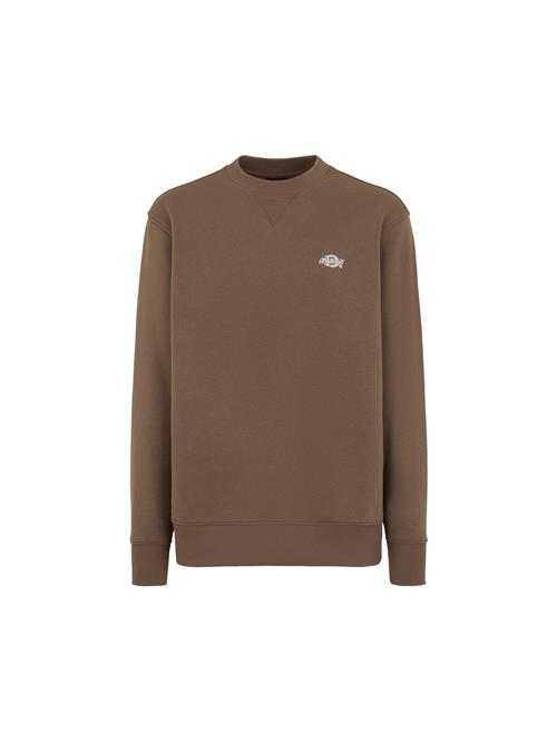 DICKIES Sweatshirt 'SUMMERDALE'  brun / naturhvid