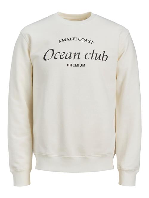 Se JACK & JONES Sweatshirt 'Ocean Club'  creme / sort ved About You