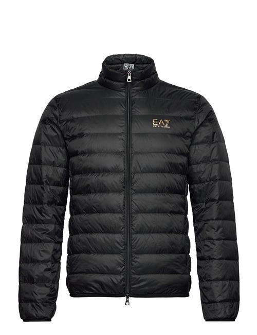 Down Jacket EA7 Black