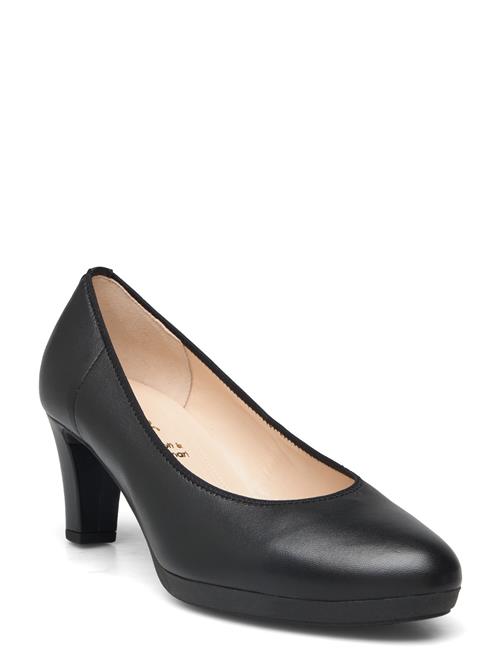 Se Gabor Pumps Gabor Black ved Booztlet