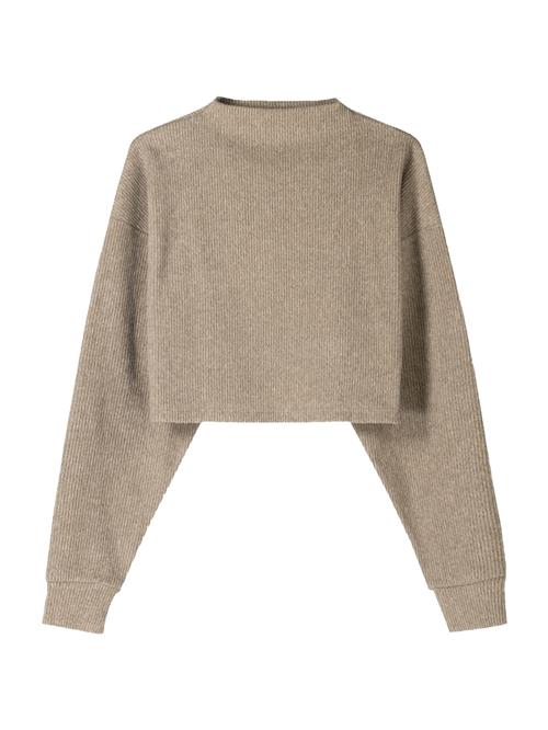 Bershka Pullover  beige-meleret