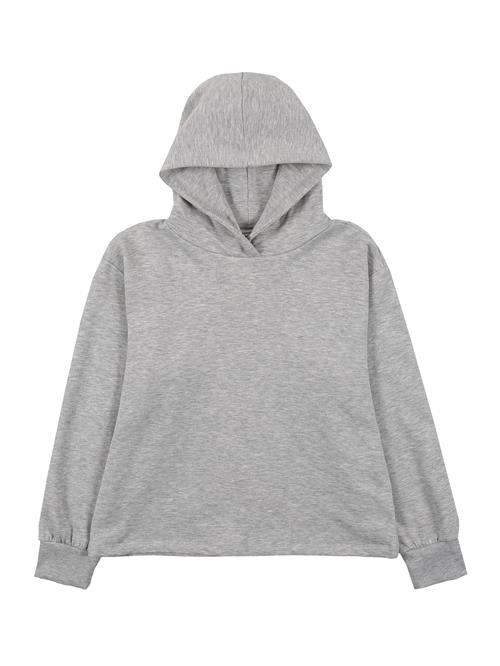 NAME IT Sweatshirt 'TEKKA'  lysegrå