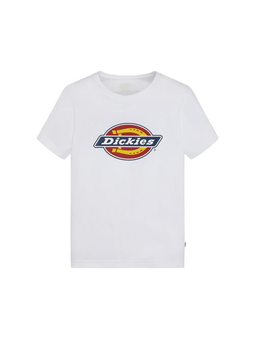 Se DICKIES Shirts  blå / orange / rød / hvid ved About You