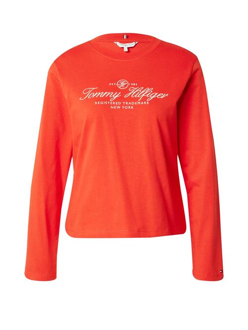 TOMMY HILFIGER Shirts  orange / hvid