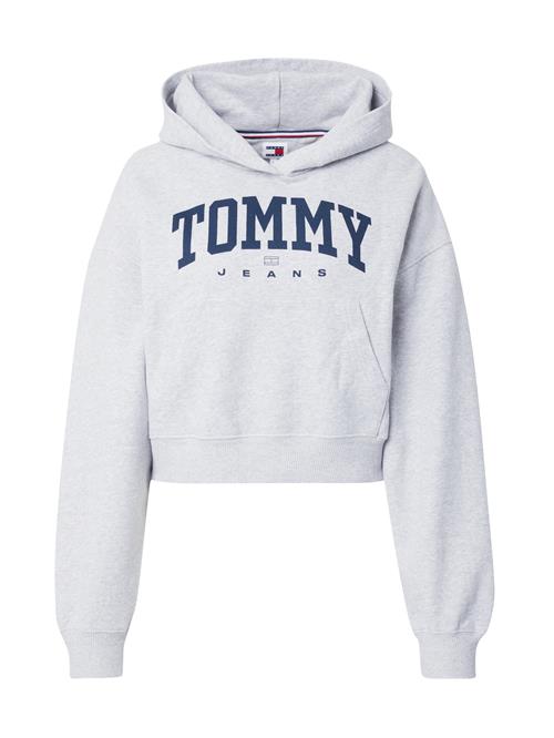 Tommy Jeans Sweatshirt  mørkeblå / grå