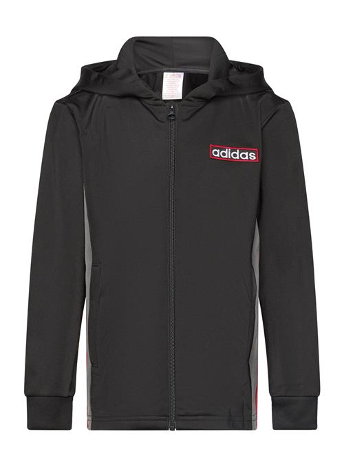 adidas Originals Fz Hoodie Adidas Originals Black