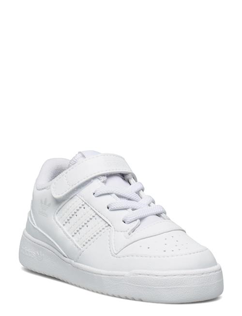 adidas Originals Forum Low I Adidas Originals White