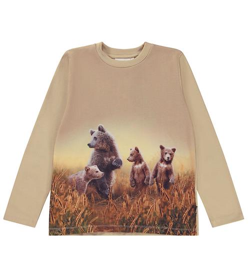 Se Molo Bluse - Reif - Bear Life ved KidsWorld