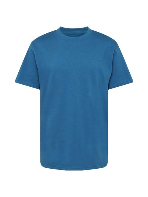 HOLLISTER Bluser & t-shirts 'MAR4'  blå