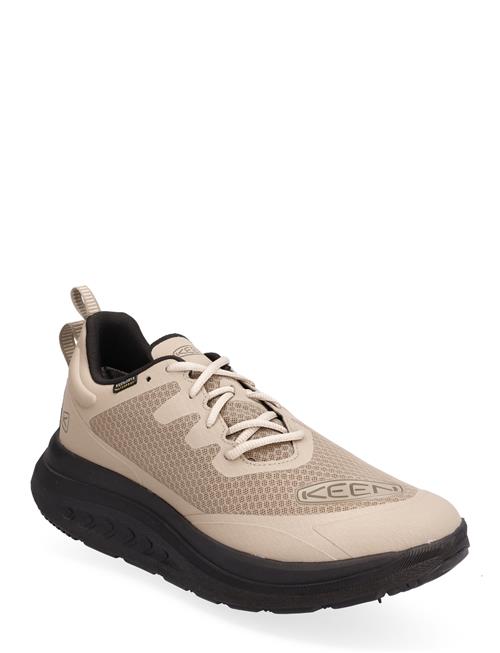 Se KEEN Ke Wk400 Wp M-Timberwolf-Black KEEN Beige ved Booztlet