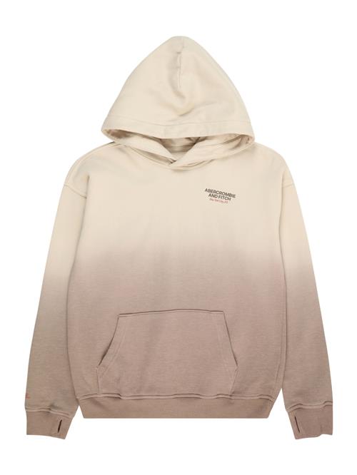 Abercrombie & Fitch Sweatshirt  beige / brun