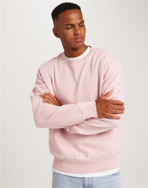 Polo Ralph Lauren LSCNM1-Long Sleeve-Sweatshirt Sweatshirts Pink