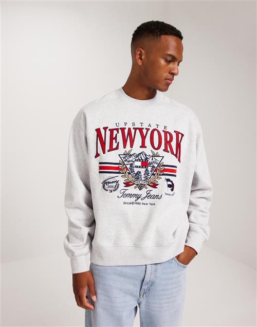 Tommy Jeans Tjm Bxy Prp Explr Vintage Cneck Sweatshirts Sølv