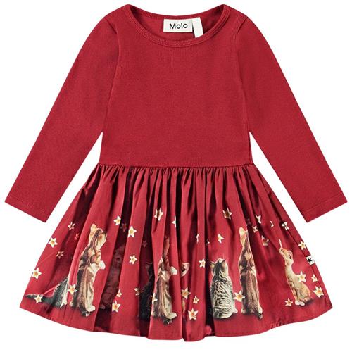 Se Molo GOTS Candi Kjole Velvety Kittens 74 cm  Rød  74 cm  kvinde ved Babyshop