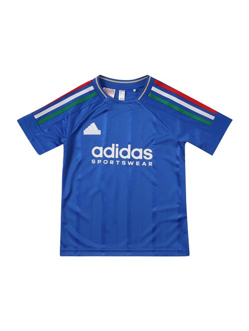 ADIDAS SPORTSWEAR Bluser & t-shirts 'Tiro Nations'  blå / grøn / rød / hvid