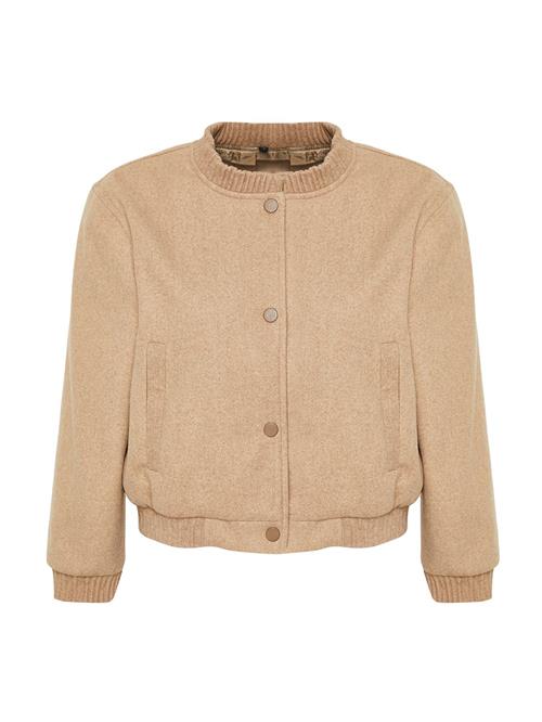 Trendyol Overgangsjakke  beige-meleret