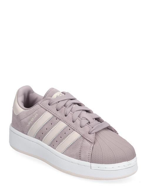 Se adidas Originals Superstar Xlg W Adidas Originals Pink ved Booztlet