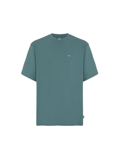 DICKIES Bluser & t-shirts 'CLANCY '  grøn / blandingsfarvet