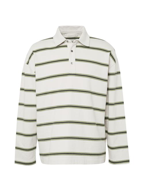 AllSaints Bluser & t-shirts 'ARDEN'  grøn / sort / offwhite