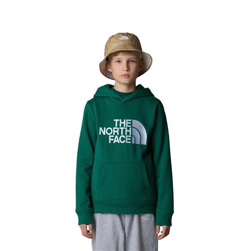 The North Face Drew Peak Hættetrøje XXL - Sweatshirts & Træningøjer hos Magasin