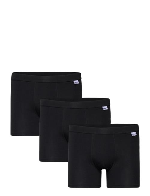 Frank Dandy 3-P Bamboo Boxer Frank Dandy Black