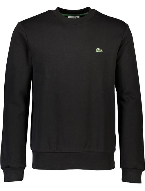 Se Lacoste Sweatshirt ved Tøjeksperten