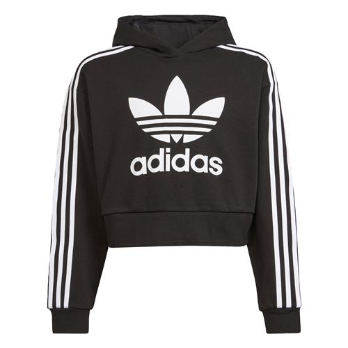 ADIDAS ORIGINALS Sweatshirt 'Adicolor'  sort / hvid