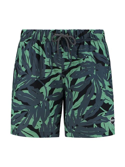 Shiwi Badeshorts 'palm cove 4-way stretch'  kiwi / gran / sort