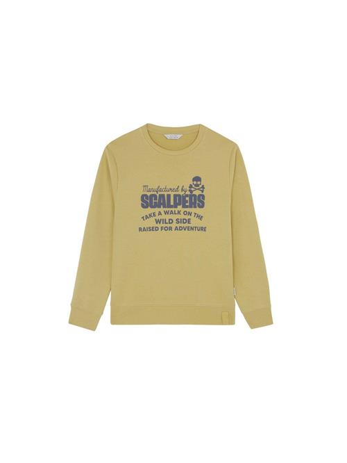 Se Scalpers Sweatshirt  blå / grøn ved About You