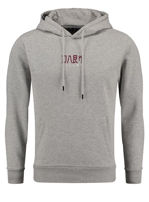 Key Largo Sweatshirt ' DARK VALLEY '  grå / blandingsfarvet