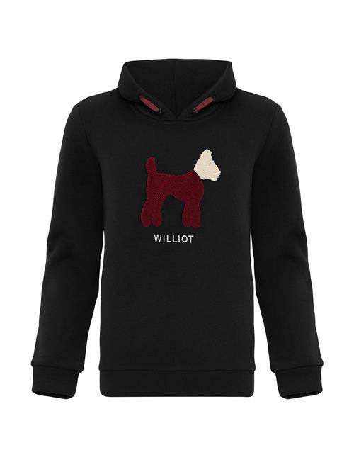 Williot Sweatshirt  burgunder / sort / hvid