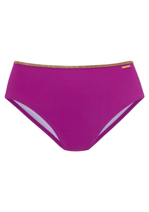 BRUNO BANANI Bikinitrusse  bronze / lilla