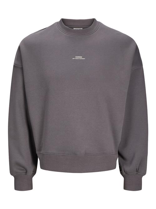 JACK & JONES Sweatshirt 'JCOTERRAIN'  grå / offwhite