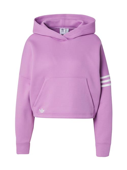 Se ADIDAS ORIGINALS Sweatshirt 'Neucl'  blomme / hvid ved About You