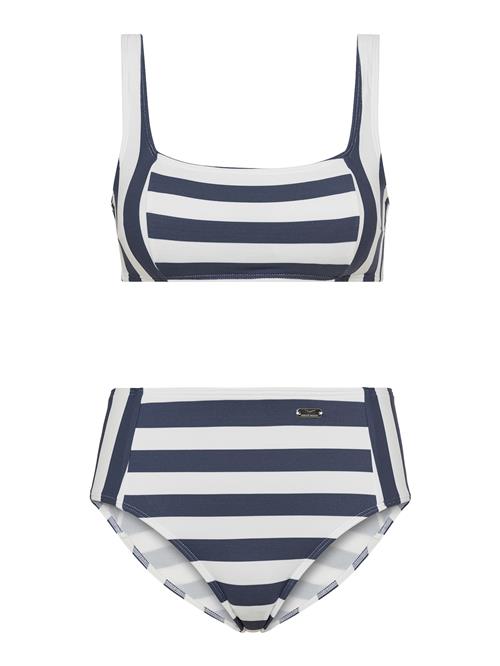 VENICE BEACH Bikini  navy / hvid