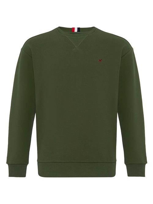 Se Williot Sweatshirt 'HOLMAN'  grøn / khaki ved About You