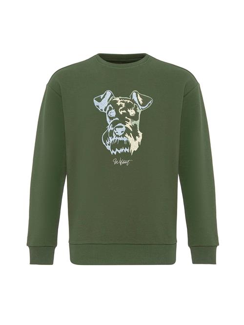 Se Williot Sweatshirt 'HUGO'  blå / gul / mørkegrøn ved About You