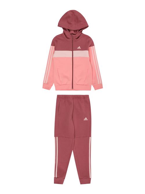 ADIDAS SPORTSWEAR Træningsdragt  pink / pudder / burgunder