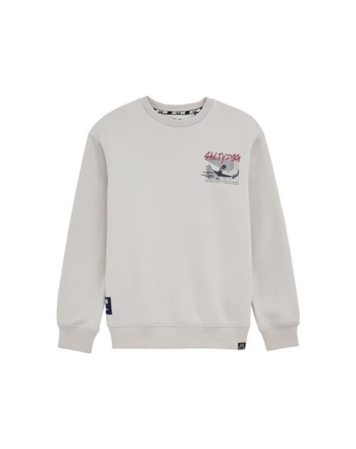 Se WE Fashion Sweatshirt  beige / blandingsfarvet ved About You