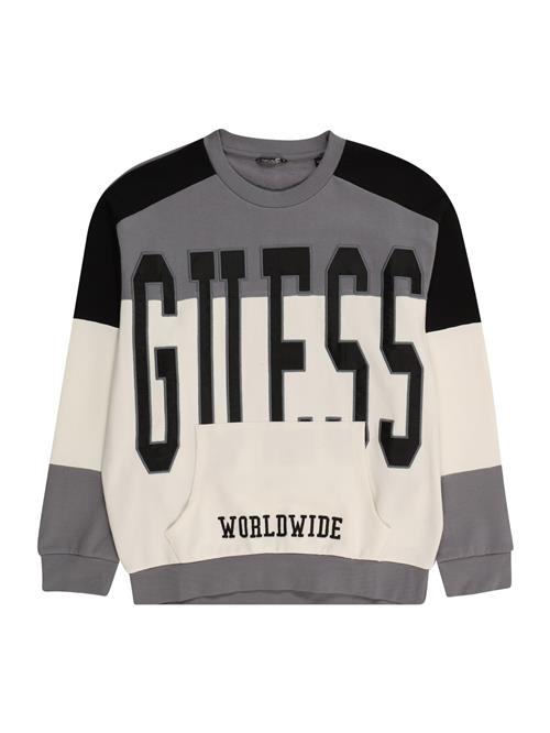 GUESS Sweatshirt  grå / sort / hvid