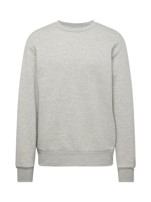 Se SELECTED HOMME Sweatshirt 'DAN'  grå ved About You