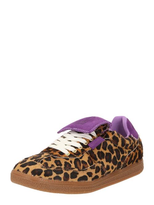 STEVE MADDEN Sneaker low 'Ethora'  umbra / cappuccino / mørkebrun / lilla