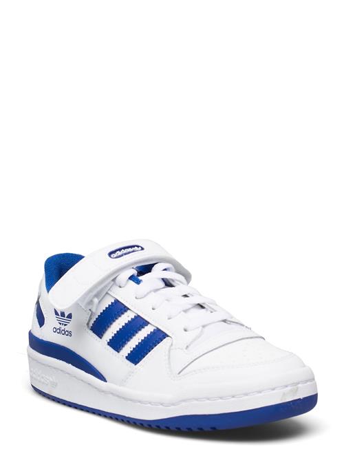 adidas Originals Forum Low J Adidas Originals White