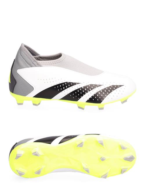 Se adidas Performance Predator Accuracy.3 Laceless Firm Ground Boots Adidas Performance White ved Booztlet