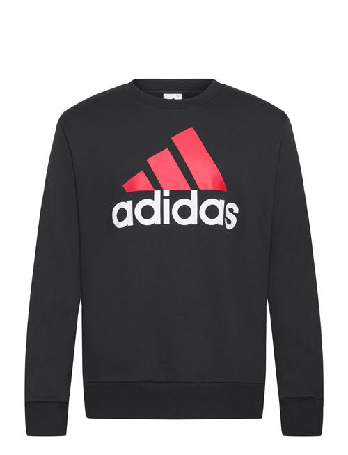 Se adidas Sportswear Essentials French Terry Big Logo Sweatshirt Adidas Sportswear Black ved Booztlet