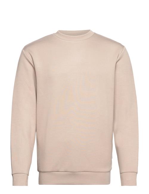 Se Selected Homme Slhemanuel Soft Crew Neck Sweat Noos Selected Homme Beige ved Booztlet