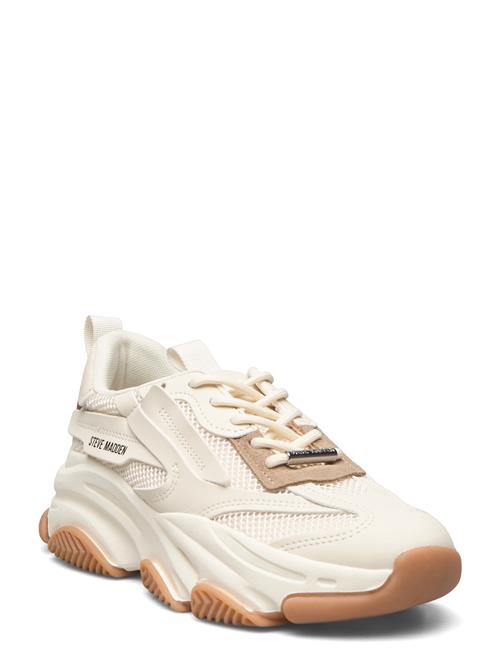 Steve Madden Possession-E Sneaker Steve Madden Beige