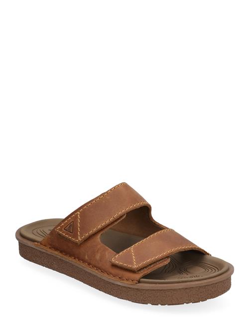 Clarks Litton Strap G Clarks Brown